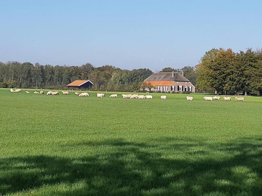 B&B Joostink In Vorden Exterior photo
